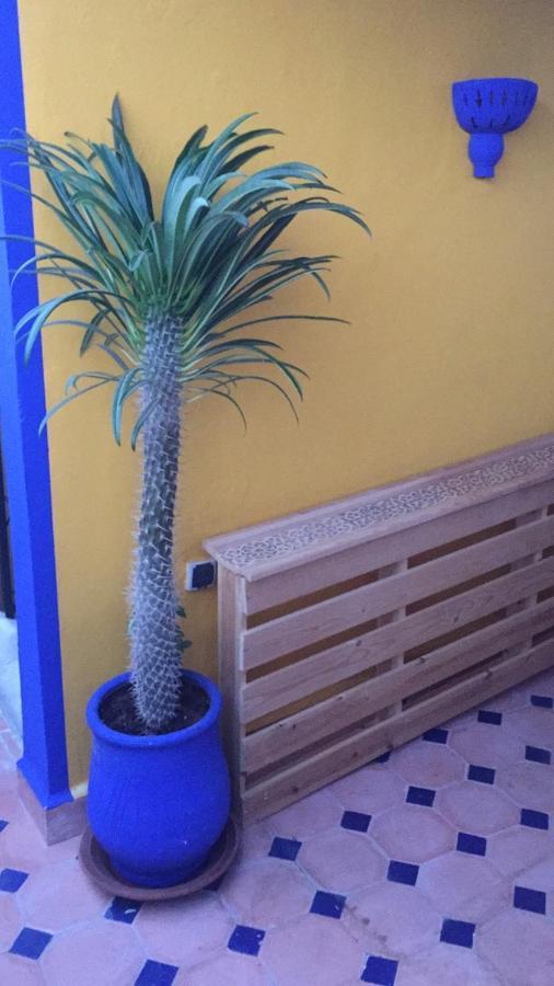 Riad Le Nid Bleu Chambres d'hôtes Marrakech Marraquexe Exterior foto